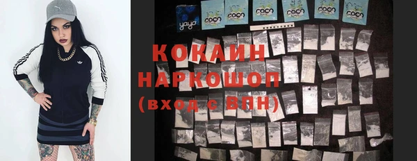 стаф Дмитров