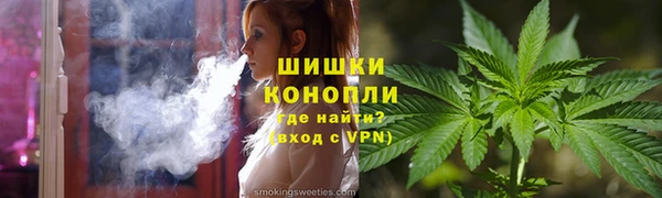 стаф Дмитров