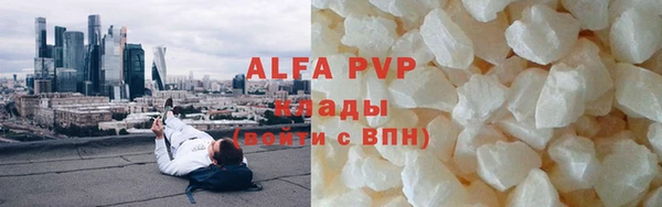 стаф Дмитров