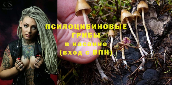 стаф Дмитров