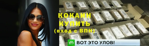 стаф Дмитров
