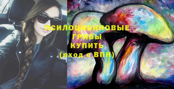 стаф Дмитров
