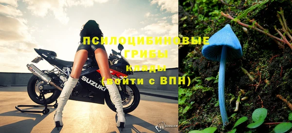 прущая мука Дмитровск