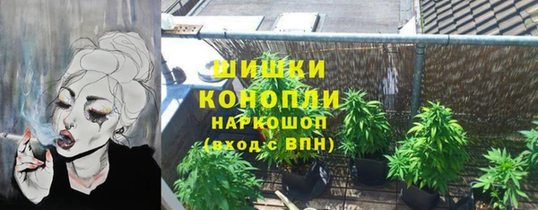 стаф Дмитров