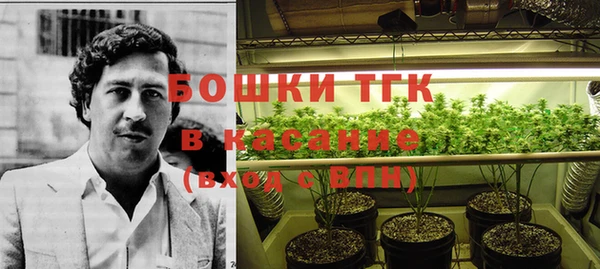 стаф Дмитров