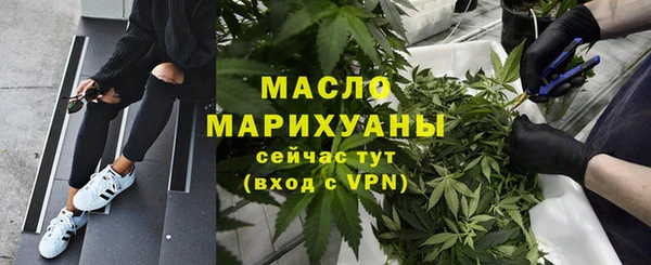 стаф Дмитров