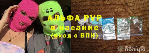 стаф Дмитров