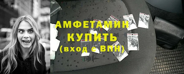стаф Дмитров