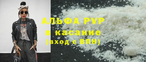 стаф Дмитров
