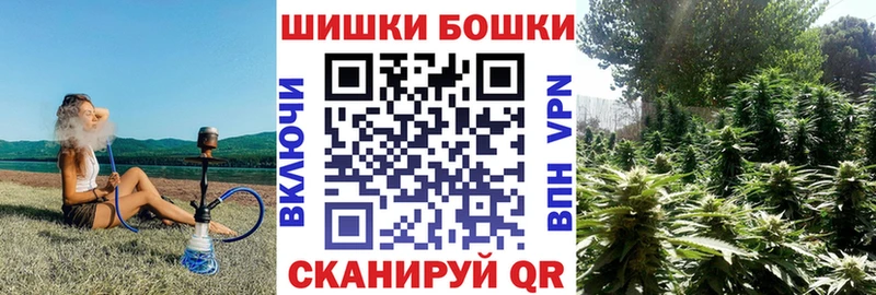 Купить где  Ессентукская  Каннабис ГИДРОПОН 